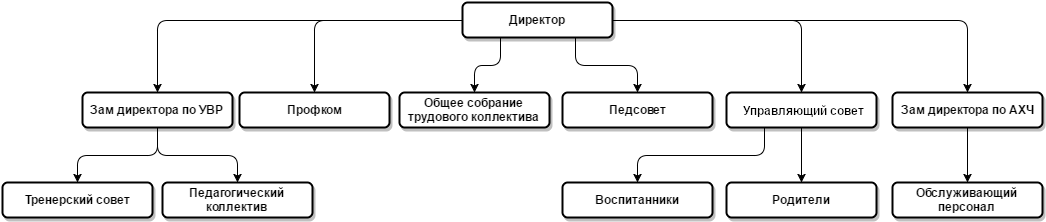 Структура ДЮСШ
